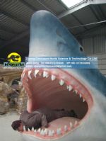 Life size fiberglass statues shark head for took photos DWA084